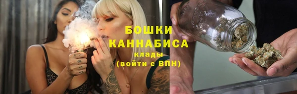 гидропоника Горняк
