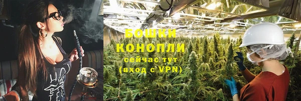 молекула духа Вязники