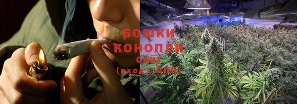 гидра Вяземский
