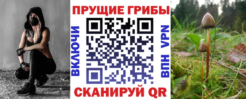 Псилоцибиновые грибы мухоморы  купить наркотики сайты  Ессентуки 